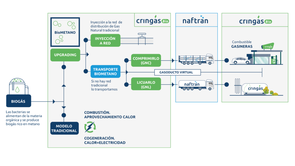 Gráfica representativa de cómo a partir del Biogás se lleva a cabo la comercialización e infraestructuras de GNL y BioGNL